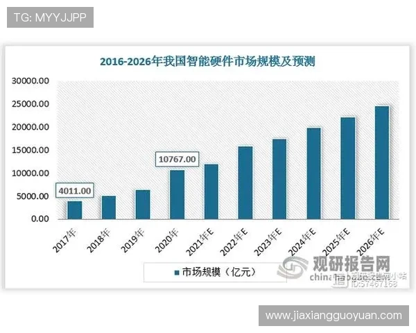 探索PA和记在行业中的核心竞争优势与未来发展方向