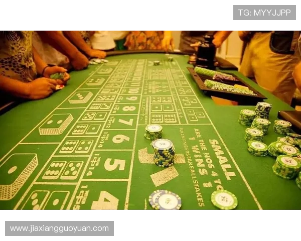 凯发真人视讯：带你感受最刺激的现场赌场氛围