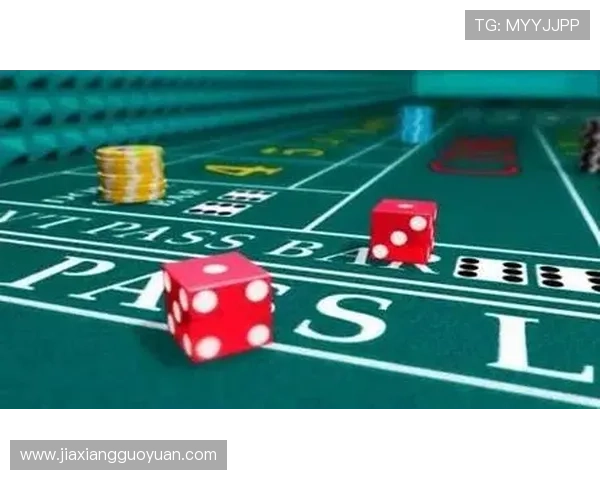 专业真人百家乐网站攻略，帮助玩家提升技巧实现稳定盈利的实用指南