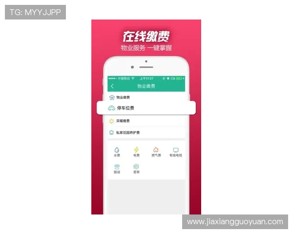 全面介绍百家家乐app使用方法，助你轻松上手游戏规则与优化投注策略的详细教程